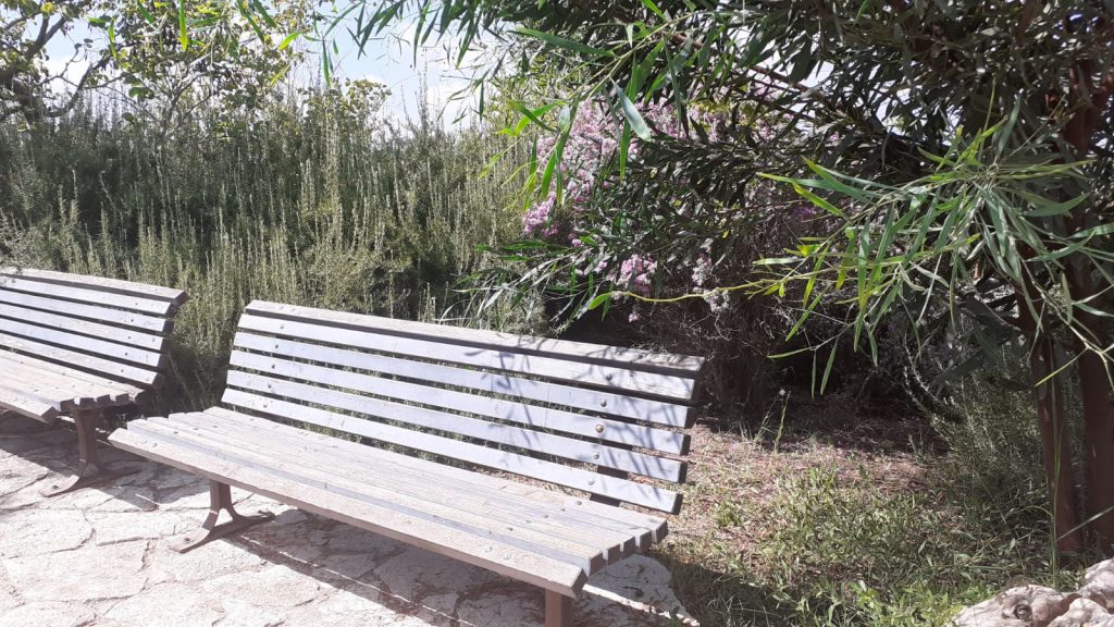 גן אהוד - אטרקציות בדרך לצפון. קהילת תמר משתפת ברעיונות ל- טיול לשבת ובכלל