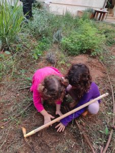 חינוך וולדורף הוד השרון: חינוך וולדורף בגני ילדים: הקשר העמוק לעבודת האדמה