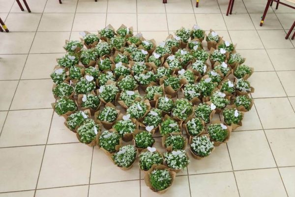 WhatsApp Image 2025-06-20 at 11.46.51