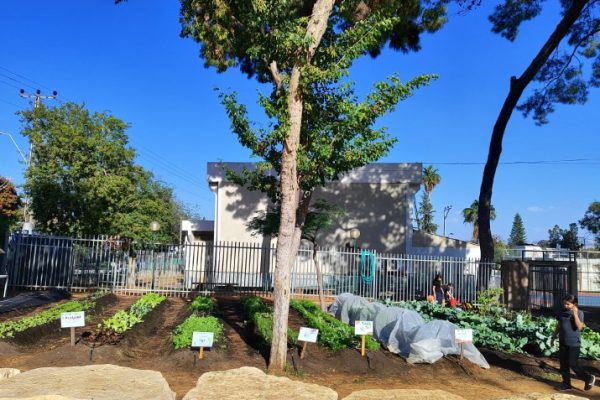 WhatsApp Image 2025-12-07 at 21.14.02 (קטן)