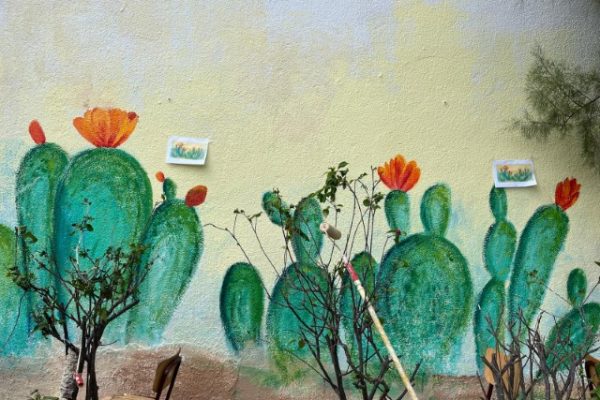 WhatsApp Image 2025-12-13 at 17.14.33 (2) (קטן)